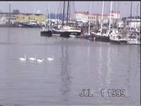 Bremerhaven.jpg (5477 Byte)