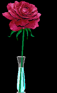 xvase.gif (21082 bytes)