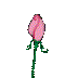an58.gif (5925 Byte)