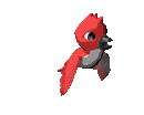red_parakeet_lg_clr.gif (6928 Byte)