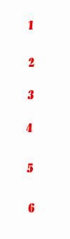 bi,b2,b3,b4,b5,b6,