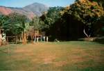 2-Yungas.jpg (3692 bytes)